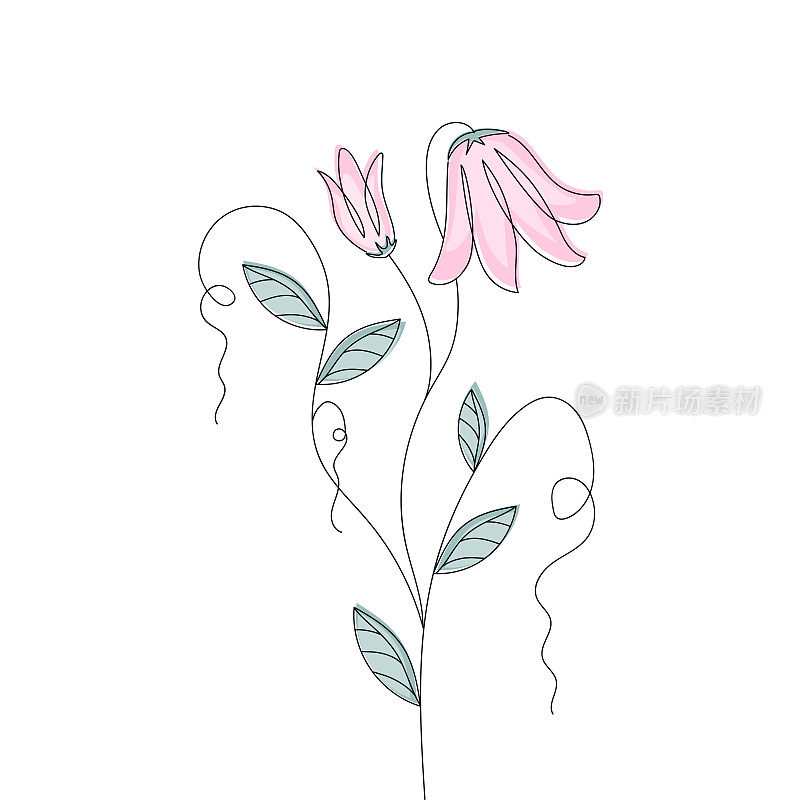 Vector pink bellflower with outlined silhouette isolated on white background.